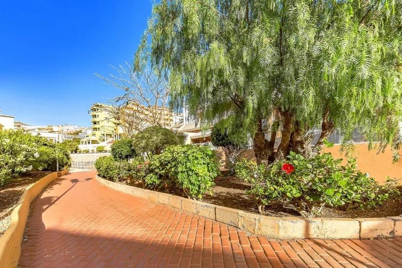 Tenerifeopenhome Costa Adeje Comfort Apartment 3 Pools Costa Adeje (Tenerife) Exterior foto